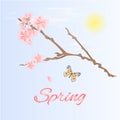 Spring twig of cherry and butterfly vector