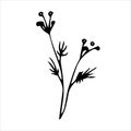 Spring twig with leaves floral vector object in doodle style flowers hand draw isolate on a white background