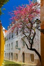 Spring typical Lisbon street, Portugal