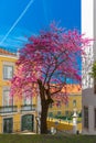 Spring typical Lisbon street, Portugal