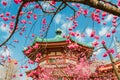 Spring in Ueno Park