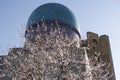 Spring in Uzbekistan. The spring festival of Navruz. Flowering trees near the mosque Bibi Khanum, Samarkand