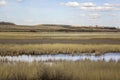 Spring valley with dry yellow reeds, grass, trees and rivers with lakes under a blue sky with clouds Royalty Free Stock Photo