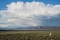 Spring Valley Wind Farm