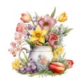 Spring vase with beautiful flowers watercolor illustration, spring clipart Royalty Free Stock Photo