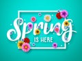 Spring vector banner design. Spring text with colorful chrysanthemum and daisy flowers