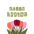 Spring vector illustration with decor of tulips