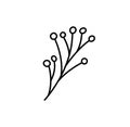 Spring Vector stylized berries with monoline lines. Scandinavian illustration art element. Decorative summer floral