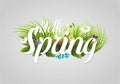 Spring vector text lettering background with flower floral green text letter ornament beautiful calligraphy flower hello Royalty Free Stock Photo