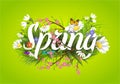 Spring vector text lettering background with flower floral green text letter ornament beautiful calligraphy flower hello