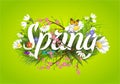 Spring vector text lettering background with flower floral green text letter ornament beautiful calligraphy flower hello Royalty Free Stock Photo