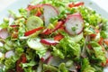 Spring vegan salad with tomato, cucumbers, radish and chinese cabbage Royalty Free Stock Photo