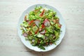 Spring vegan salad with tomato, cucumbers, radish and chinese cabbage Royalty Free Stock Photo