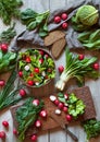 Spring vegetable diet salad with radish, cucmber, savoy and greens