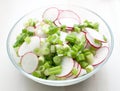 Spring vegetable salad