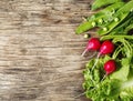 Spring vegetables on wooden background. Radish, green peas and green salad - fresh harvest from the garden. Royalty Free Stock Photo