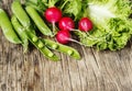 Spring vegetables on wooden background. Radish, green peas and green salad - fresh harvest from the garden. Royalty Free Stock Photo