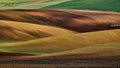 Spring velvet hilly fields.South Moravia.Czech republic. Royalty Free Stock Photo