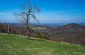 A Spring View of Devils Backbone and Valley Clouds Royalty Free Stock Photo