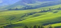 Spring view, green meadows and fields on the mountain slopes Royalty Free Stock Photo