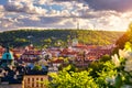 Spring view in Letna Park, Prague, Czech Republic. Spring in Prague Praha, beautiful Letna park Letenske sady in sunlight,