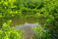 A Spring View of Little Glade Mill Pond Royalty Free Stock Photo