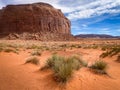 Spring view in Monument Valley on the 17 Mile Drive Royalty Free Stock Photo