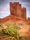 Spring view in Monument Valley on the 17 Mile Drive Royalty Free Stock Photo