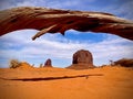 Spring view in Monument Valley on the 17 Mile Drive Royalty Free Stock Photo