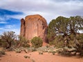 Spring view in Monument Valley on the 17 Mile Drive Royalty Free Stock Photo