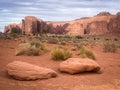 Spring view in Monument Valley on the 17 Mile Drive Royalty Free Stock Photo
