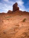 Spring view in Monument Valley on the 17 Mile Drive Royalty Free Stock Photo