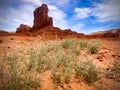 Spring view in Monument Valley on the 17 Mile Drive Royalty Free Stock Photo