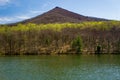 A Spring View of Sharp Top Mountain from Abbott Lake Royalty Free Stock Photo