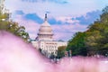 Spring view of Washington Capitol Congress Royalty Free Stock Photo