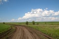 Spring village road passing through fields lit by the bright sun. Royalty Free Stock Photo