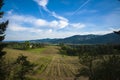 Spring vineyards, Willamette Valley, Oregon Royalty Free Stock Photo