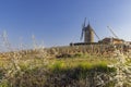 Spring vineyards with Chenas windmill in Beaujolais, Burgundy, France Royalty Free Stock Photo