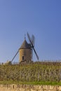 Spring vineyards with Chenas windmill in Beaujolais, Burgundy, France Royalty Free Stock Photo