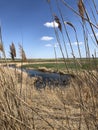 Spring walk on the steppe.