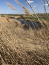 Spring walk on the steppe.