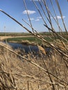 Spring walk on the steppe.