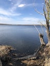 Spring walk on the steppe.