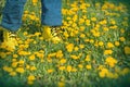 Spring walks on meadow full of flowers Royalty Free Stock Photo