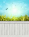 Spring wall background/backdrop Royalty Free Stock Photo