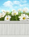 Spring wall background/backdrop Royalty Free Stock Photo