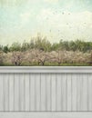 Spring wall background/backdrop Royalty Free Stock Photo