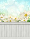 Spring wall background/backdrop Royalty Free Stock Photo