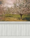 Spring wall background/backdrop Royalty Free Stock Photo