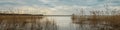 Spring water landscape. wide panoramic view from the shore of the lake through the coastal reeds on a cloudy evening Royalty Free Stock Photo